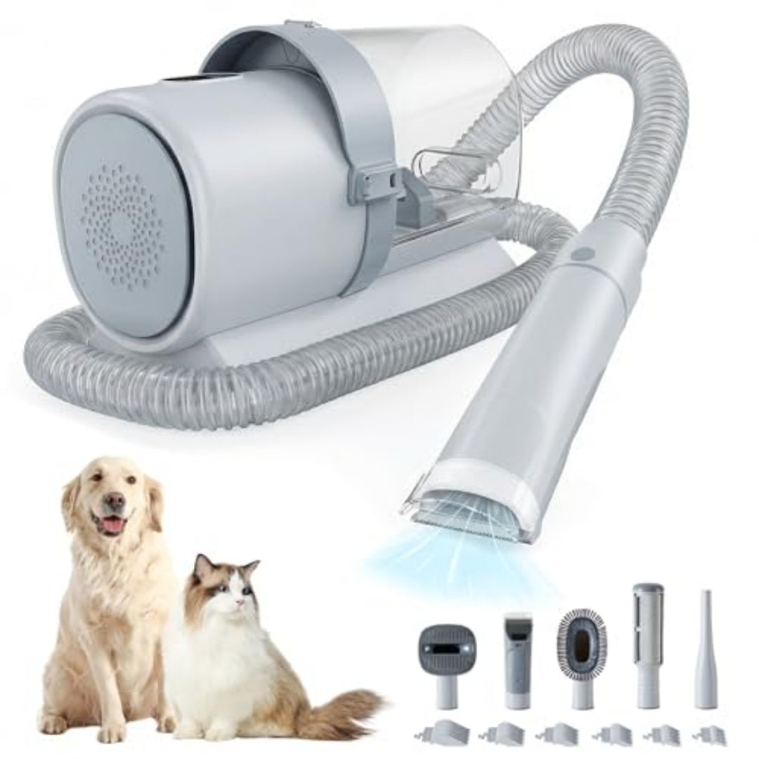Quiet enough that your pet stays put