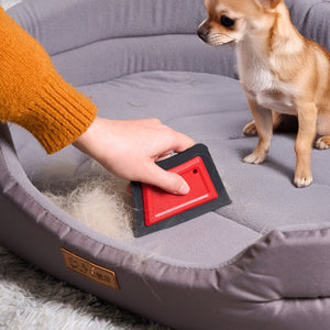 Reusable Pet Hair Remover — No Refills, No Sticky Sheets