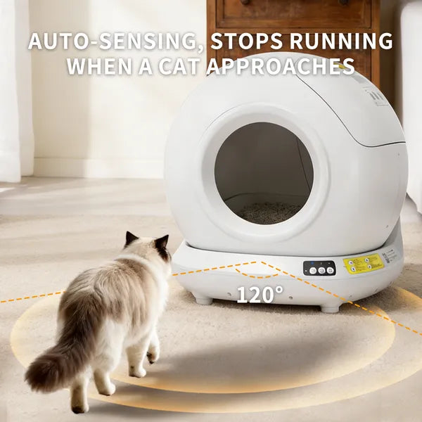 It stops the moment your cat comes near